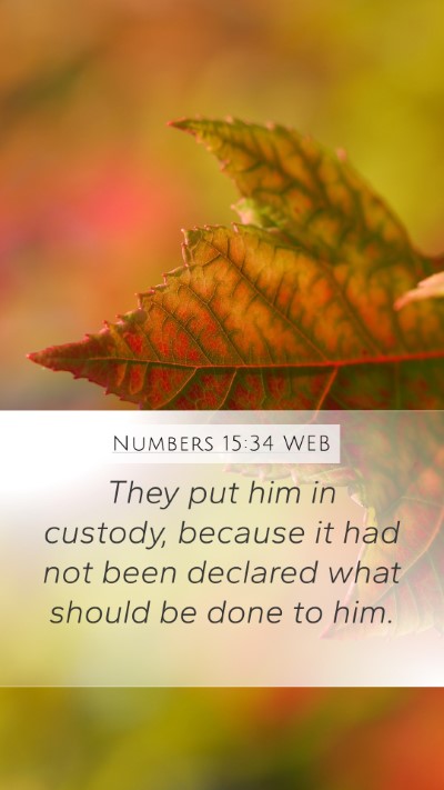 Numbers 15:34 WEB Bible Verse Image