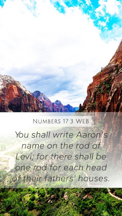 Numbers 17:3 WEB Bible Verse Image