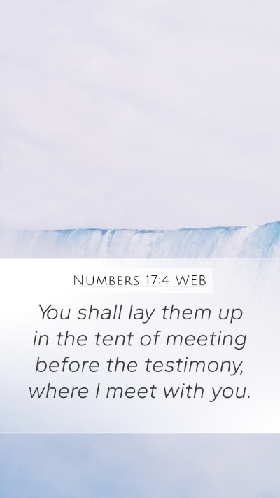Numbers 17:4 WEB Bible Verse Image