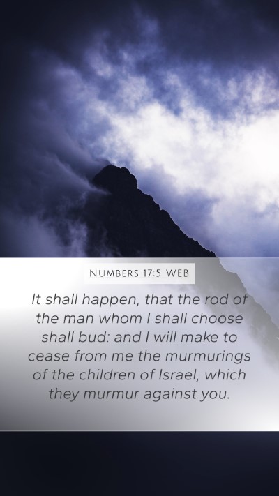 Numbers 17:5 WEB Bible Verse Image