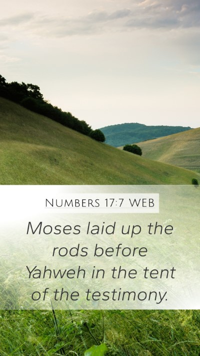 Numbers 17:7 WEB Bible Verse Image