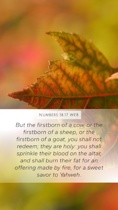 Numbers 18:17 WEB Bible Verse Image
