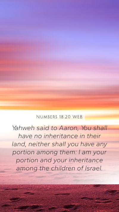 Numbers 18:20 WEB Bible Verse Image