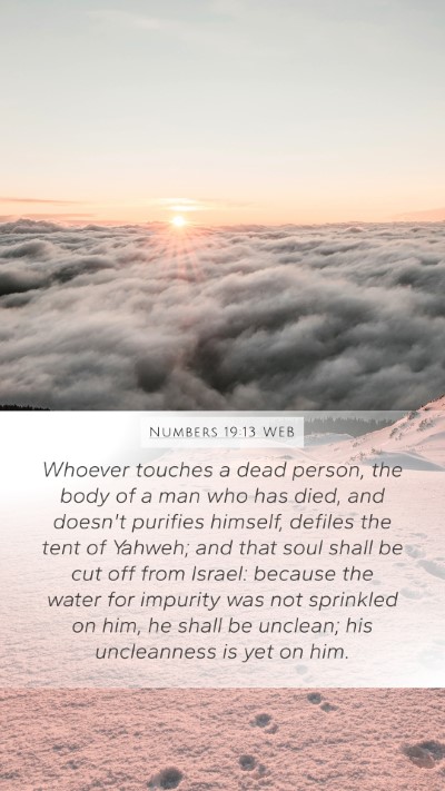 Numbers 19:13 WEB Bible Verse Image