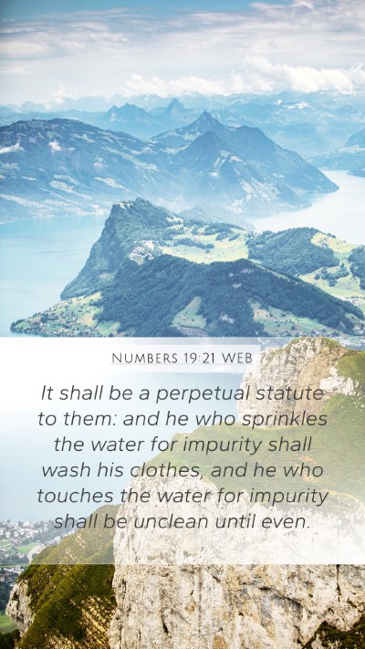 Numbers 19:21 WEB Bible Verse Image