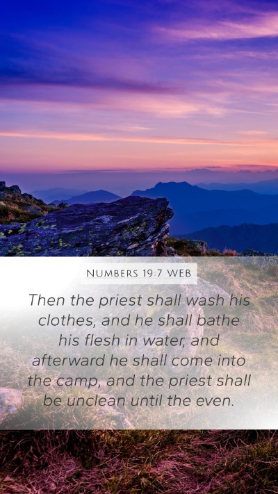 Numbers 19:7 WEB Bible Verse Image