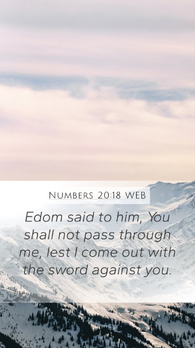 Numbers 20:18 WEB Bible Verse Image