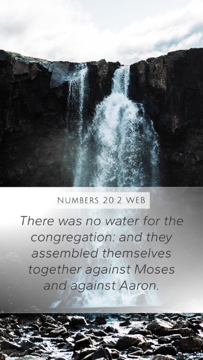 Numbers 20:2 WEB Bible Verse Image
