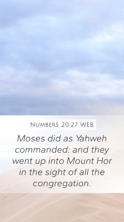 Numbers 20:27 WEB Bible Verse Image
