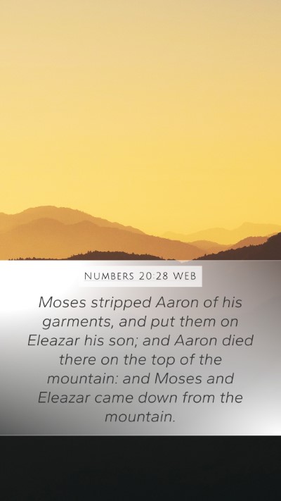 Numbers 20:28 WEB Mobile Phone Wallpaper - Moses stripped Aaron of his garments, and put - Mobile Bible Verse Wallpaper