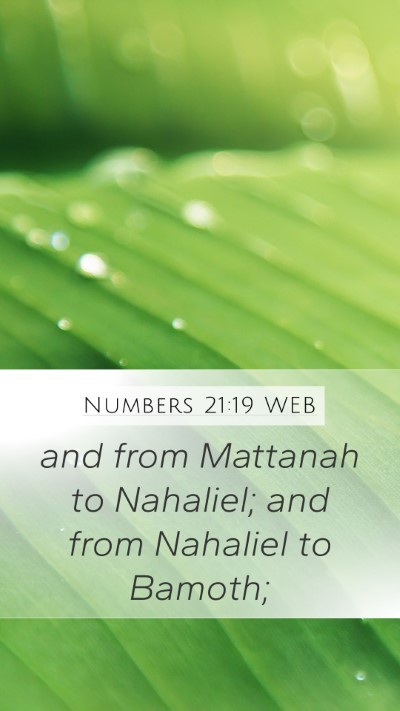 Numbers 21:19 WEB Bible Verse Image