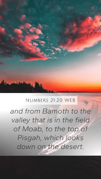 Numbers 21:20 WEB Bible Verse Image