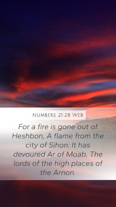 Numbers 21:28 WEB Bible Verse Image