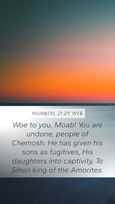 Numbers 21:29 WEB Bible Verse Image