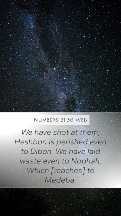 Numbers 21:30 WEB Bible Verse Image