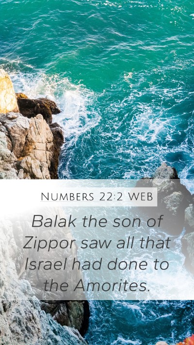 Numbers 22:2 WEB Bible Verse Image