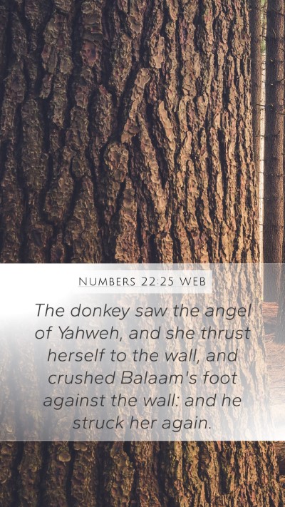 Numbers 22:25 WEB Mobile Phone Wallpaper - The donkey saw the angel of Yahweh, and she - Mobile Bible Verse Wallpaper