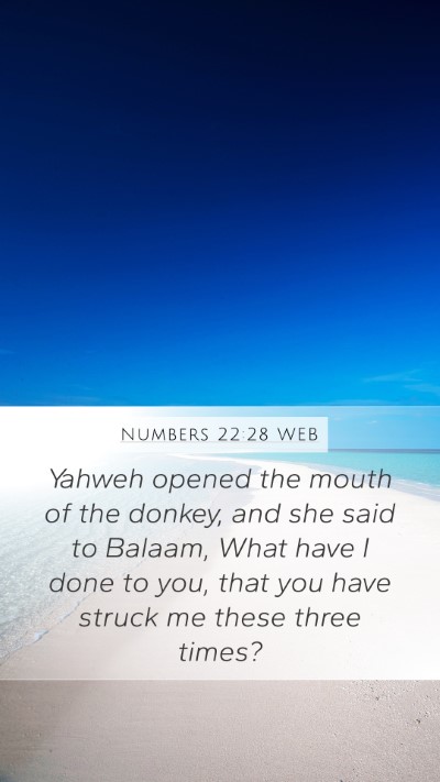Numbers 22:28 WEB Mobile Phone Wallpaper - Yahweh opened the mouth of the donkey, and she - Mobile Bible Verse Wallpaper