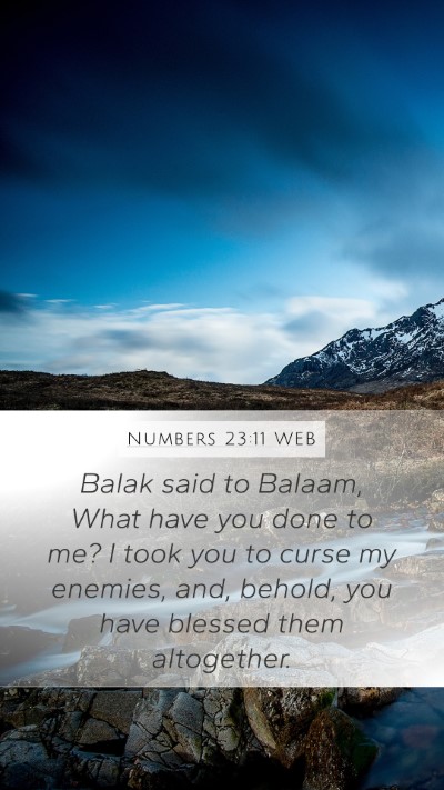 Numbers 23:11 WEB Bible Verse Image