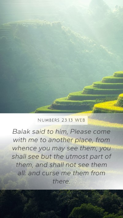 Numbers 23:13 WEB Bible Verse Image