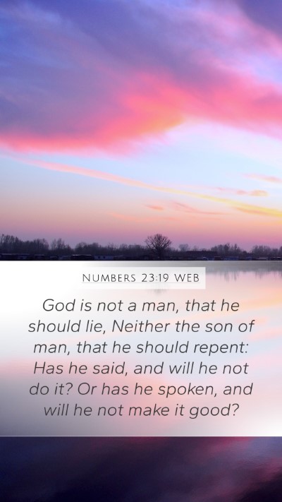 Numbers 23:19 WEB Bible Verse Image