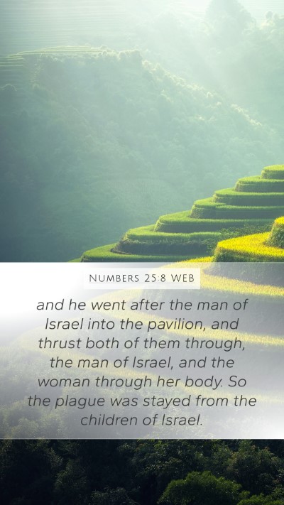 Numbers 25:8 WEB Bible Verse Image