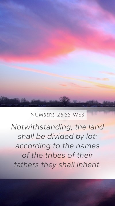 Numbers 26:55 WEB Bible Verse Image