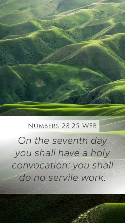 Numbers 28:25 WEB Bible Verse Image