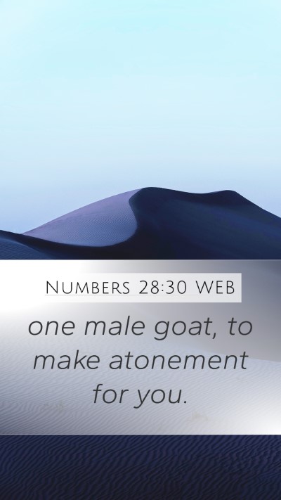 Numbers 28:30 WEB Bible Verse Image