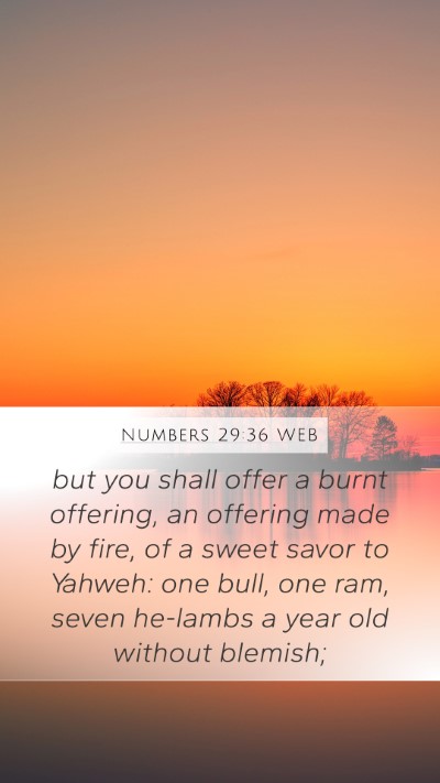 Numbers 29:36 WEB Bible Verse Image