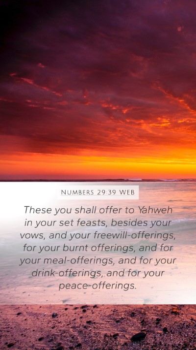 Numbers 29:39 WEB Bible Verse Image