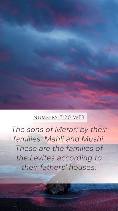 Numbers 3:20 WEB Bible Verse Image