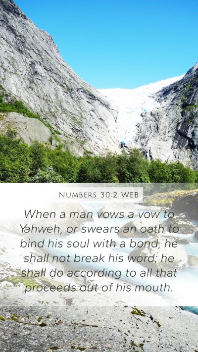 Numbers 30:2 WEB Bible Verse Image