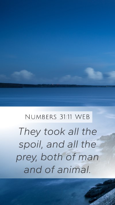 Numbers 31:11 WEB Mobile Phone Wallpaper - They took all the spoil, and all the prey, both - Mobile Bible Verse Wallpaper