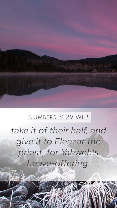 Numbers 31:29 WEB Bible Verse Image