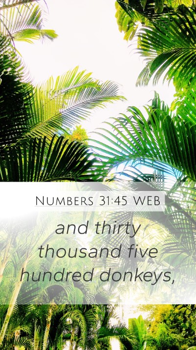 Numbers 31:45 WEB Mobile Phone Wallpaper - and thirty thousand five hundred - Mobile Bible Verse Wallpaper