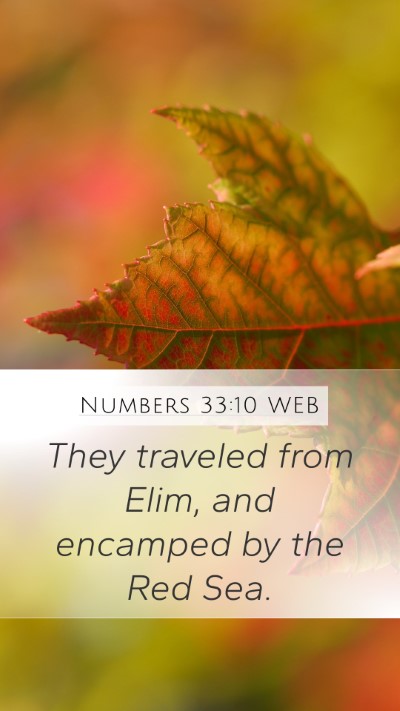 Numbers 33:10 WEB Bible Verse Image