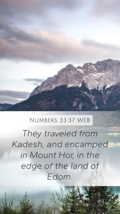 Numbers 33:37 WEB Mobile Phone Wallpaper - They traveled from Kadesh, and encamped in Mount - Mobile Bible Verse Wallpaper