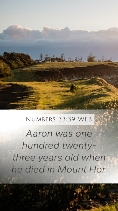 Numbers 33:39 WEB Mobile Phone Wallpaper - Aaron was one hundred twenty-three years old when - Mobile Bible Verse Wallpaper