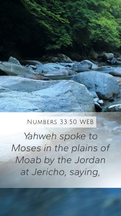 Numbers 33:50 WEB Bible Verse Image