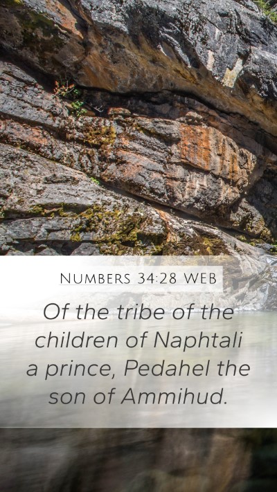 Numbers 34:28 WEB Mobile Phone Wallpaper - Of the tribe of the children of Naphtali a - Mobile Bible Verse Wallpaper