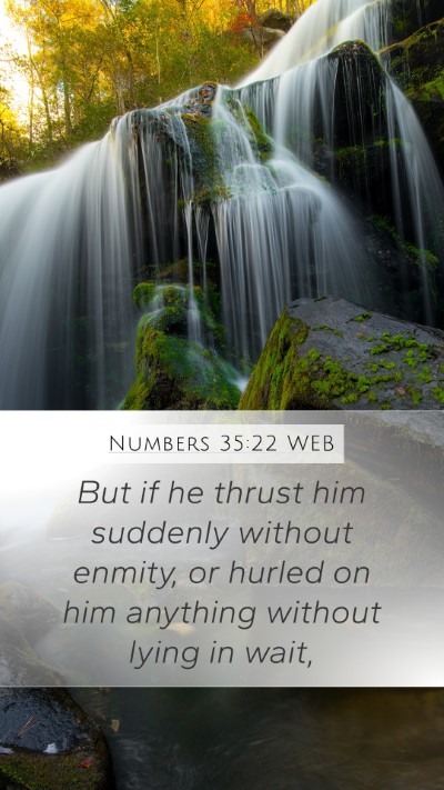 Numbers 35:22 WEB Bible Verse Image