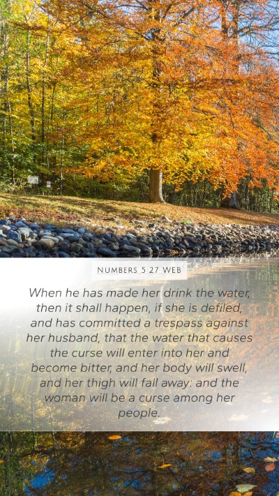 Numbers 5:27 WEB Mobile Phone Wallpaper - When he has made her drink the water, then it - Mobile Bible Verse Wallpaper
