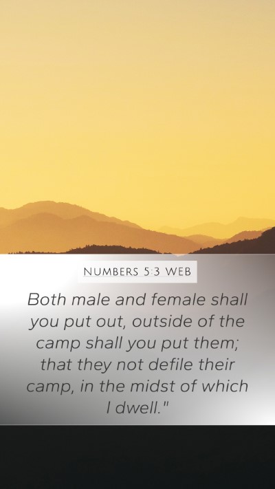 Numbers 5:3 WEB Mobile Phone Wallpaper - Both male and female shall you put out, outside - Mobile Bible Verse Wallpaper