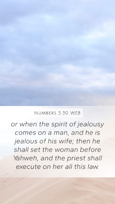 Numbers 5:30 WEB Mobile Phone Wallpaper - or when the spirit of jealousy comes on a man, - Mobile Bible Verse Wallpaper
