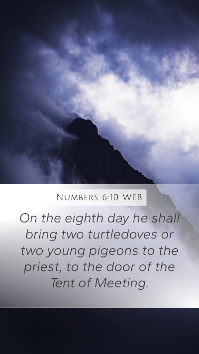Numbers 6:10 WEB Mobile Phone Wallpaper - On the eighth day he shall bring two turtledoves - Mobile Bible Verse Wallpaper