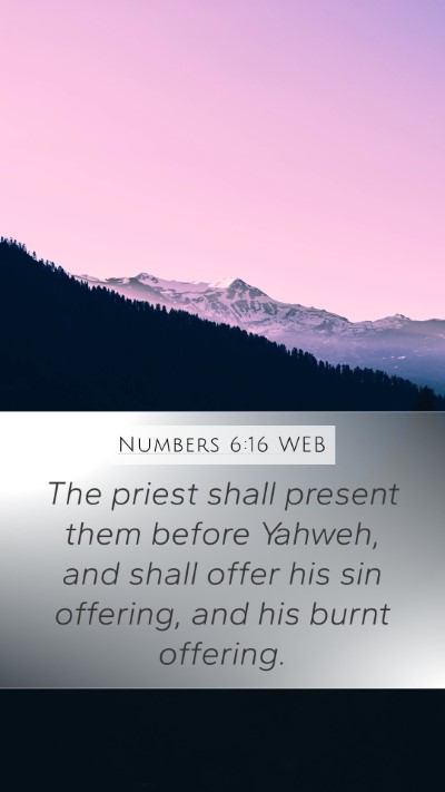Numbers 6:16 WEB Mobile Phone Wallpaper - The priest shall present them before Yahweh, and - Mobile Bible Verse Wallpaper