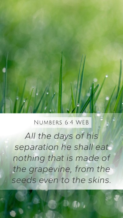 Numbers 6:4 WEB Mobile Phone Wallpaper - All the days of his separation he shall eat - Mobile Bible Verse Wallpaper