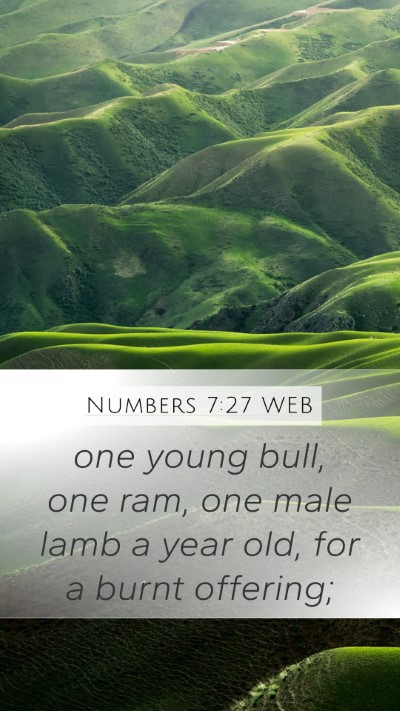 Numbers 7:27 WEB Mobile Phone Wallpaper - one young bull, one ram, one male lamb a year - Mobile Bible Verse Wallpaper