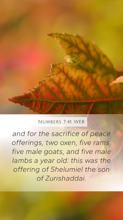 Numbers 7:41 WEB Bible Verse Image